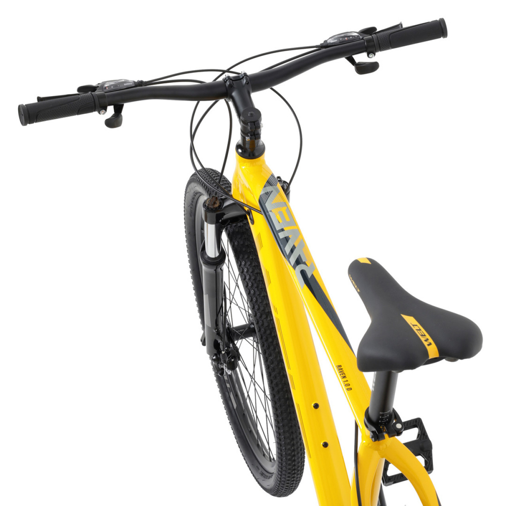 Горный велосипед Welt Raven 1.0 D 27 (2023)