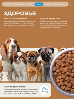 Корм сухой для взрослых собак породы Мопс, с лососем, 12 кг, QUATTRO