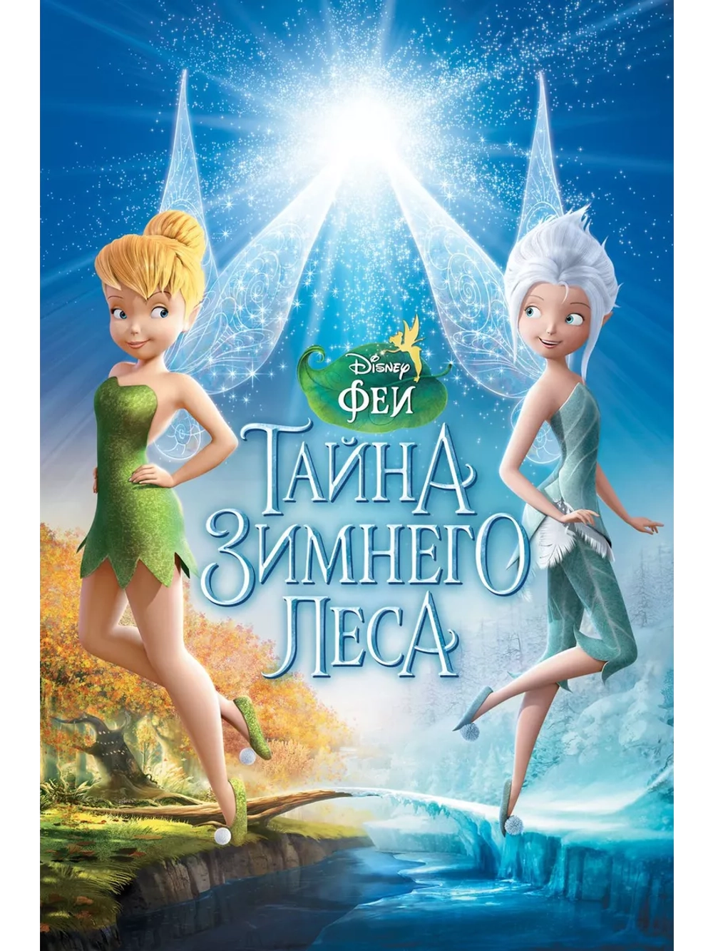 Феи: Тайна зимнего леса (2012) (DVD-R)