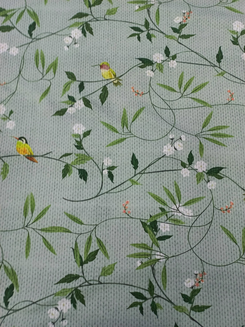 Футер 2х нитка петля Колибри на ветке