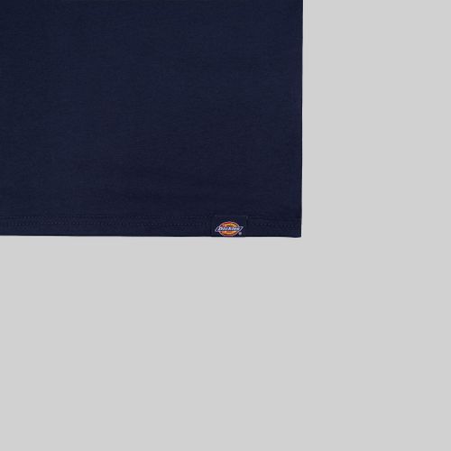 Футболка мужская Dickies Patrick Springs Tee артикул:DK0A4YR7DNX1 - купить в магазине Дайс