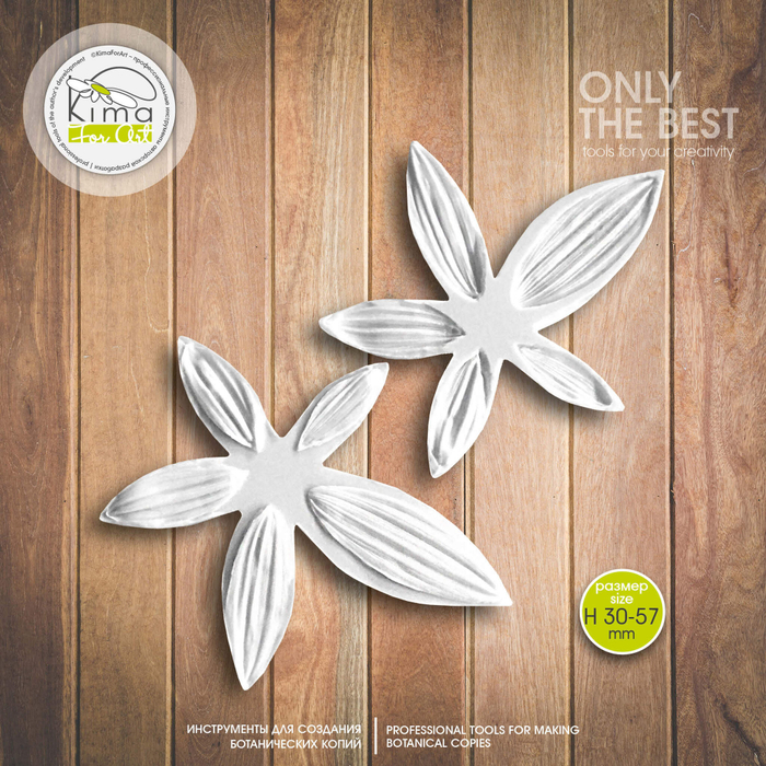 Подсолнух лепестки