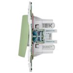 SKANDY Выключатель 2-клавишный перекрестный 10А SK-V06G мятный IEK