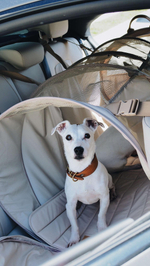 Перевозка для автомобиля Пони авто-доми Бежевый