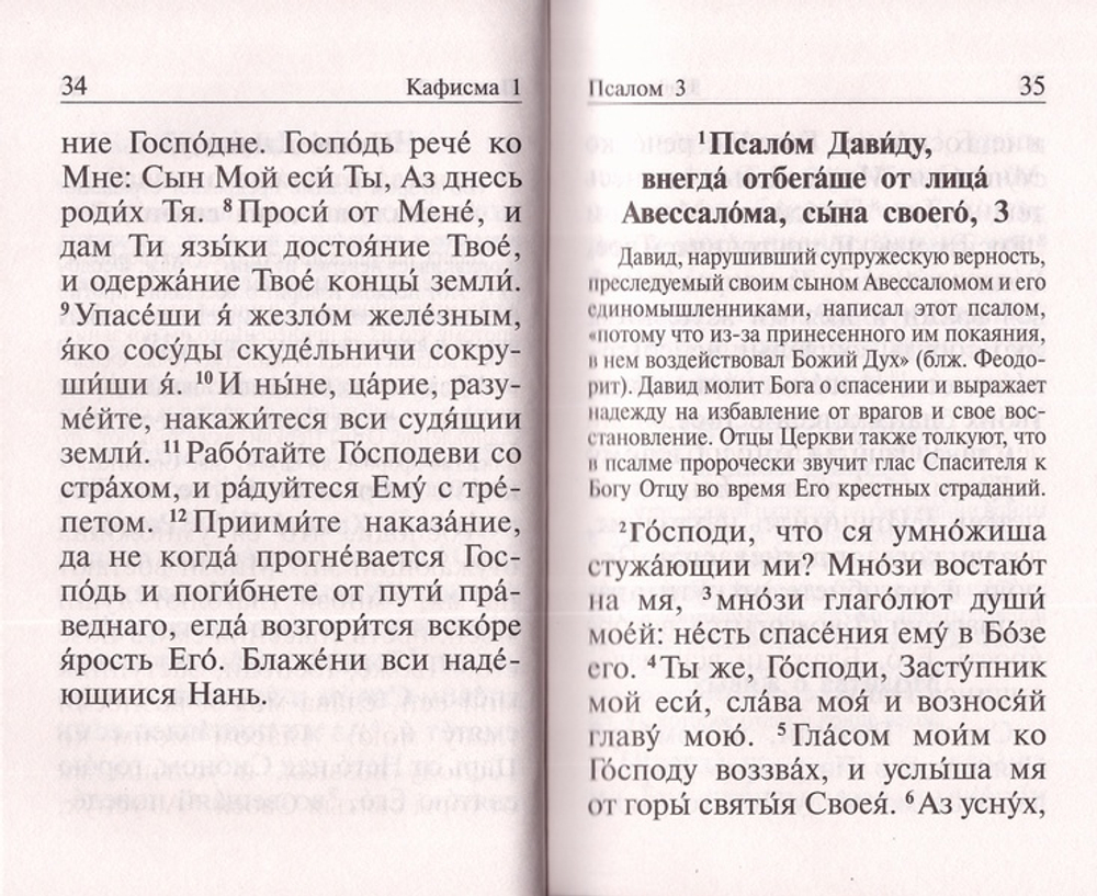 Псалтирь чтомая на всякую потребу с толкованием, с поминовением живых и усопших