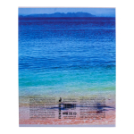 Тетрадь А5 48л клетка 98% (Funguru), микс цветов (комплект 3 шт)