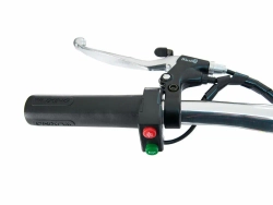 Трицикл WELLNESS EASY 350w