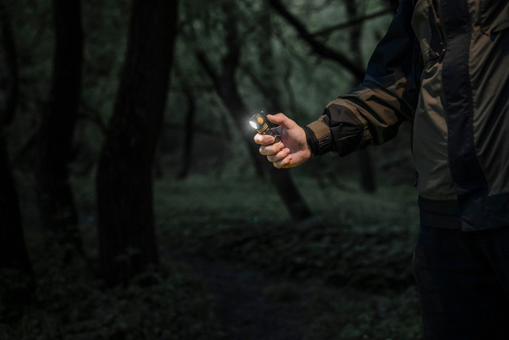 Фонарь Armytek Elf C1 USB-C (F05003W)