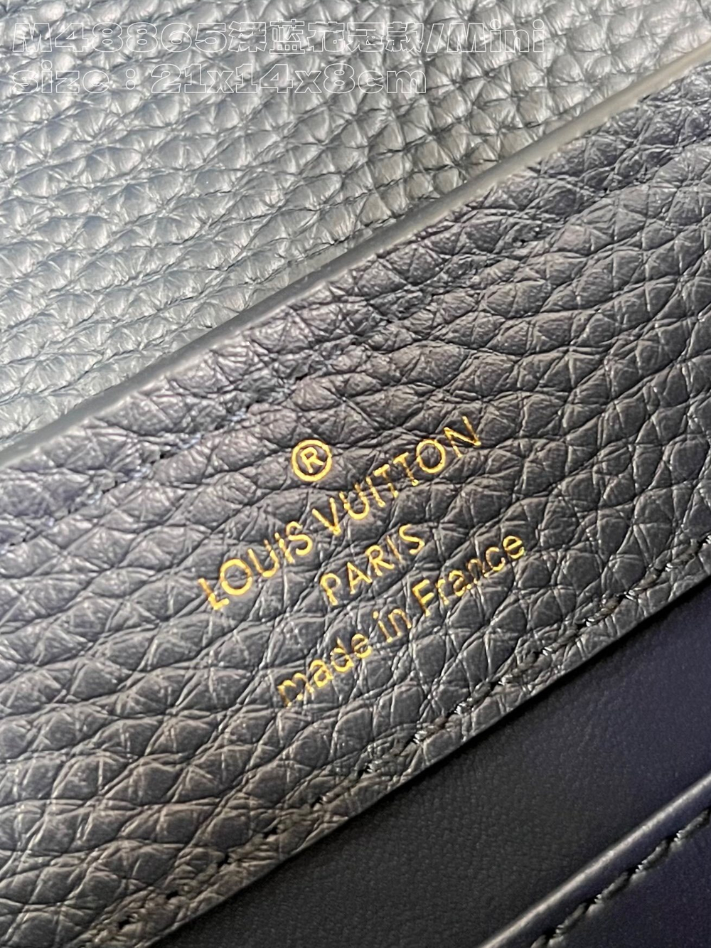 Louis Vuitton Capucines Mini