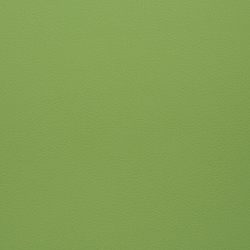 Искусственная кожа Grifon (Грифон) 06