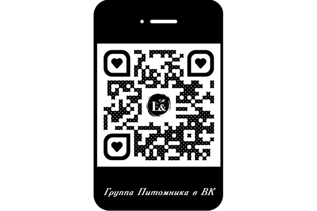 ВК-группа Питомника - Мы вместе 