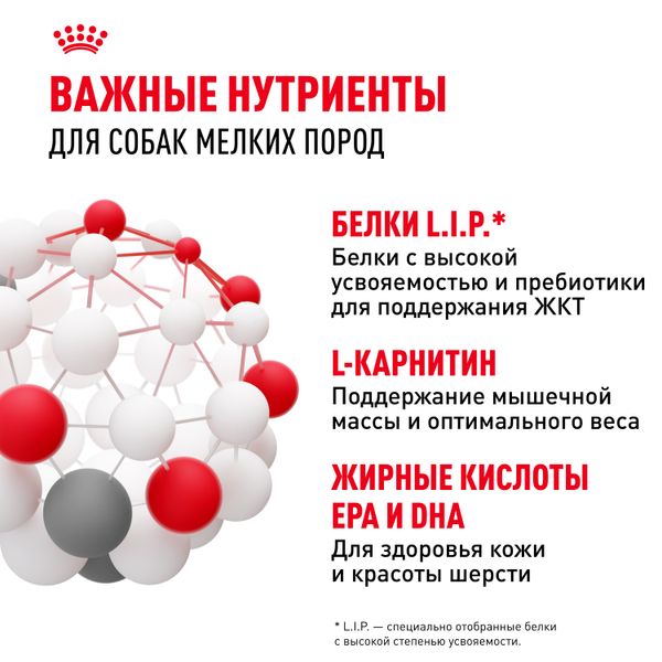 Пауч Royal Canin Mini Adult для взрослых собак мелких размеров от 10 месяцев, кусочки в соусе