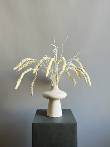 Сетария молочная