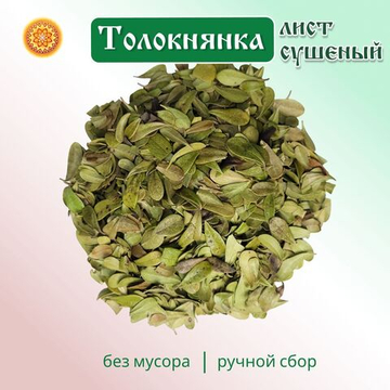 Лист толокнянки.