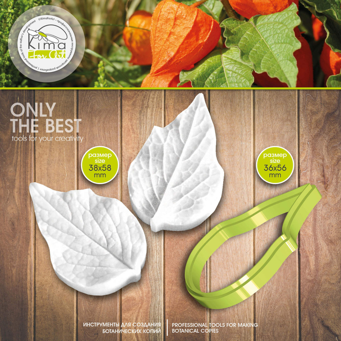 Физалис лист средний