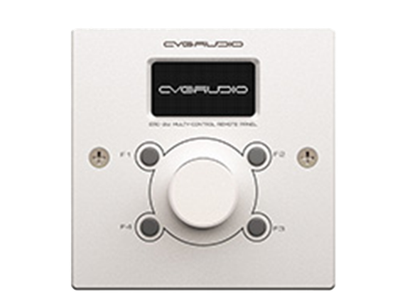 CVGAUDIO ERC-2W - настенный программируемый контроллер управления широкого профиля.