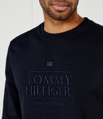 Худые Tommy Hilfiger - темно-синий(MW0MW38670)