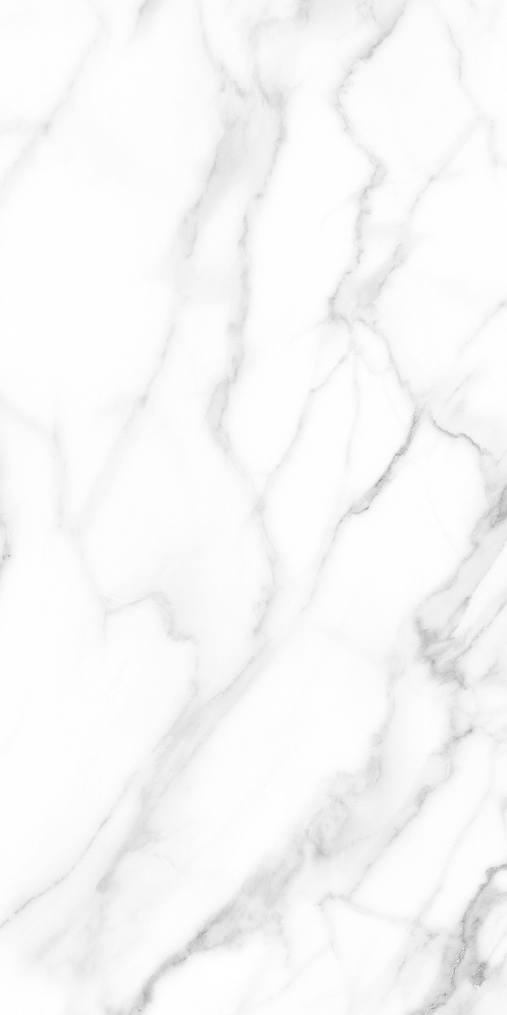 Статуарио Лонг