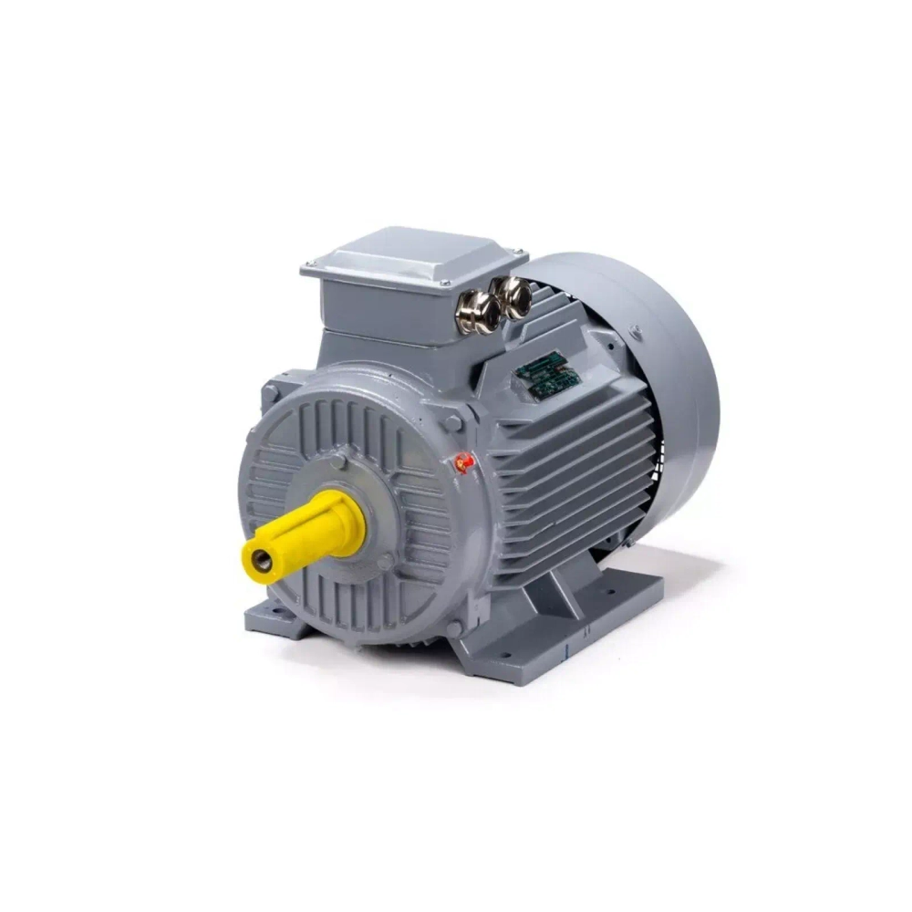Электродвигатель ESQ PR 160 M4 GST-Б1-S12-IE2 18,5/1500 IM1001