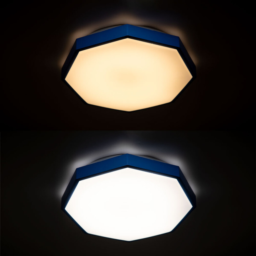 Накладной светильник ARTE Lamp A2659PL-1BL