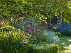 Gardens in my life. Arabella Lennox-Boyd