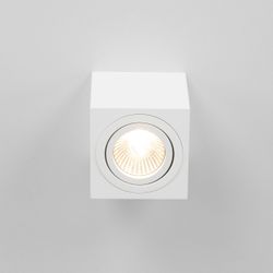 Citilux Дюрен CL538211 Светильник накладной поворотный Белый