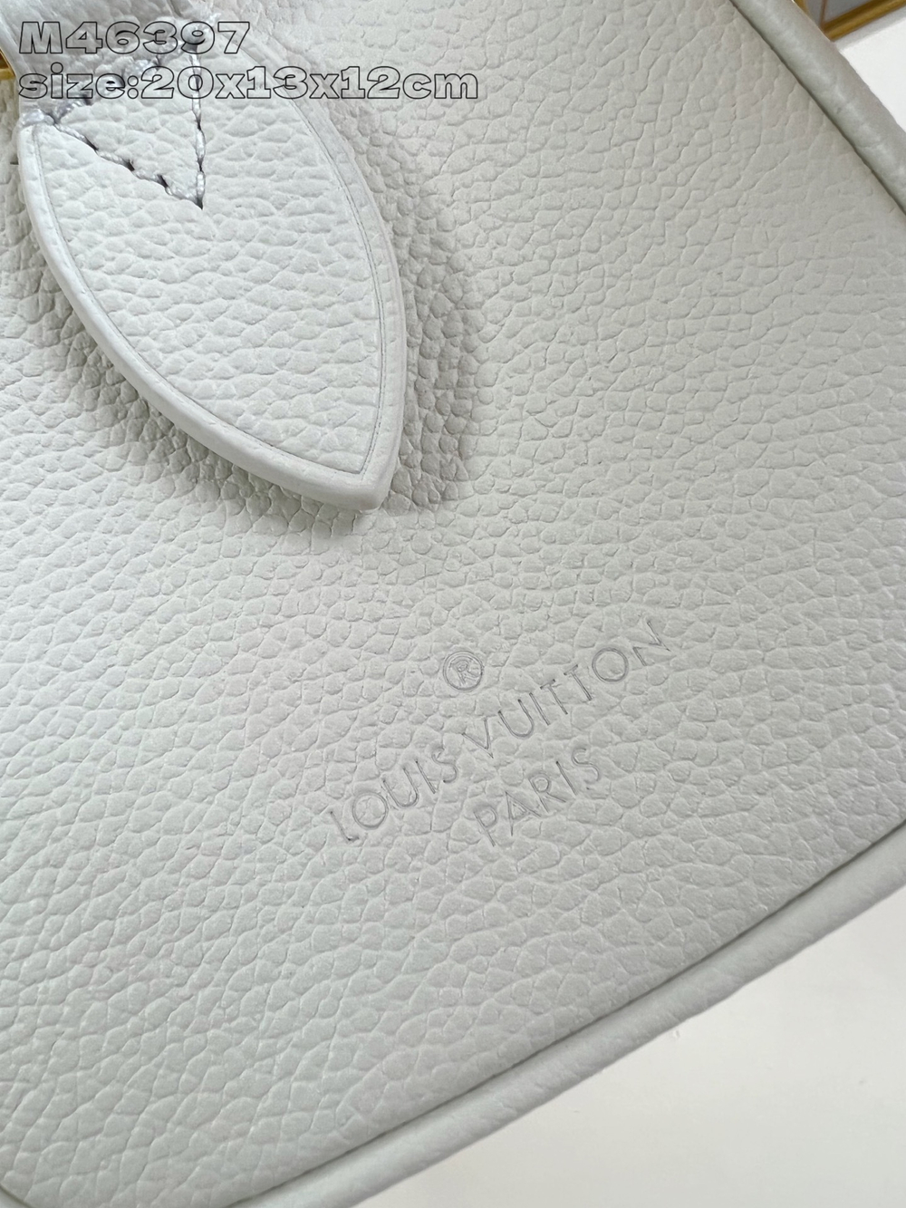 Louis Vuitton Speedy 20