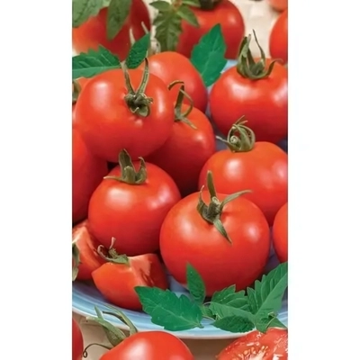 Семена Томат Чародей (УД) Е/П