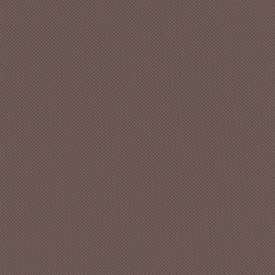 Велюр Blitz / Блитц