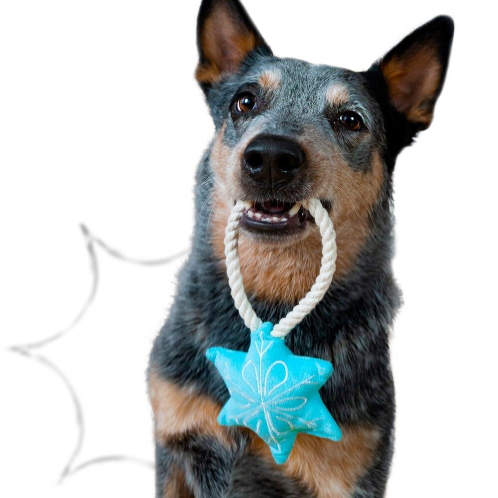 Игрушка Mr.Kranch для собак мелких и средних пород Снежинка с канатом и пищалкой 23х12х4 см, голубая Игрушка Mr.Kranch для собак мелких и средних пород Снежинка с канатом и пищалкой 23х12х4 см, голубая