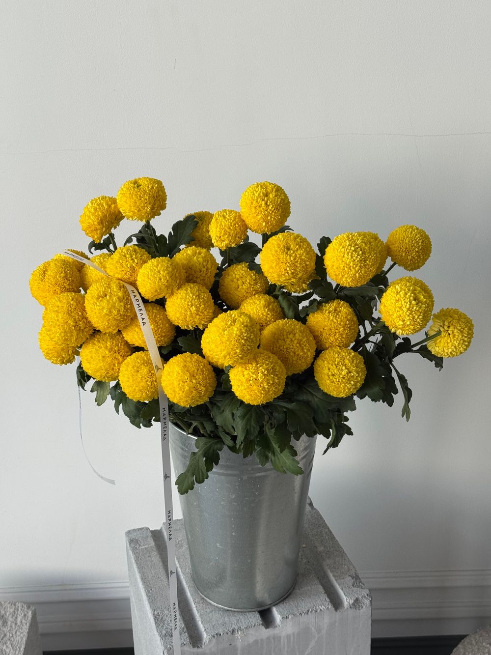 Хризантема в желтом оттенке