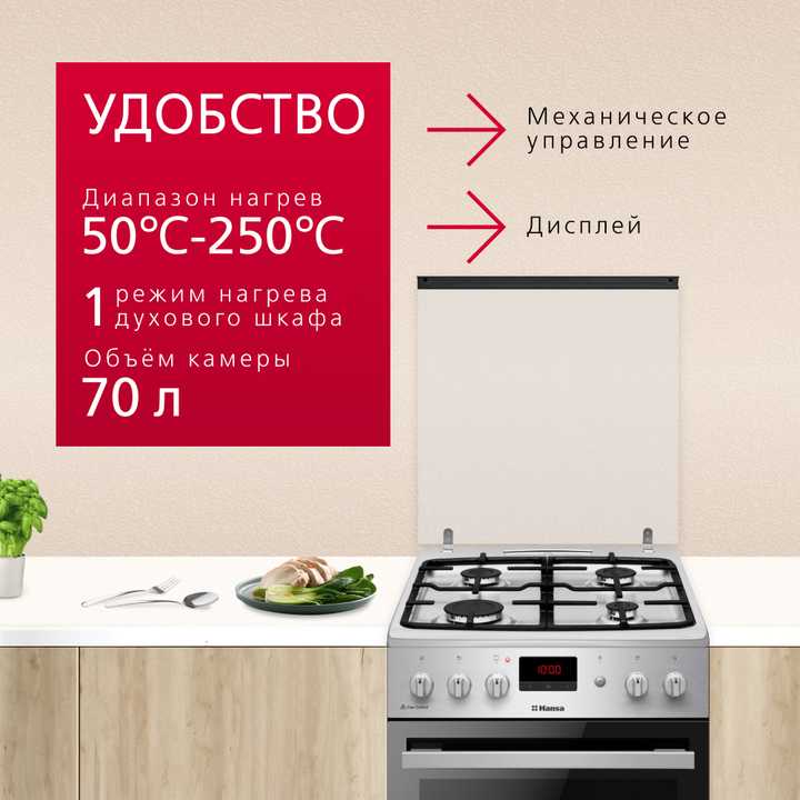Газовая плита Hansa FCGX522222H