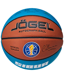 Мяч баскетбольный Jögel Pro Training ECOBALL 2.0 Replica №6