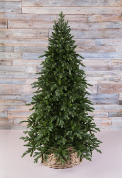 Ель Ноттингемская 215см зеленая Triumph Tree