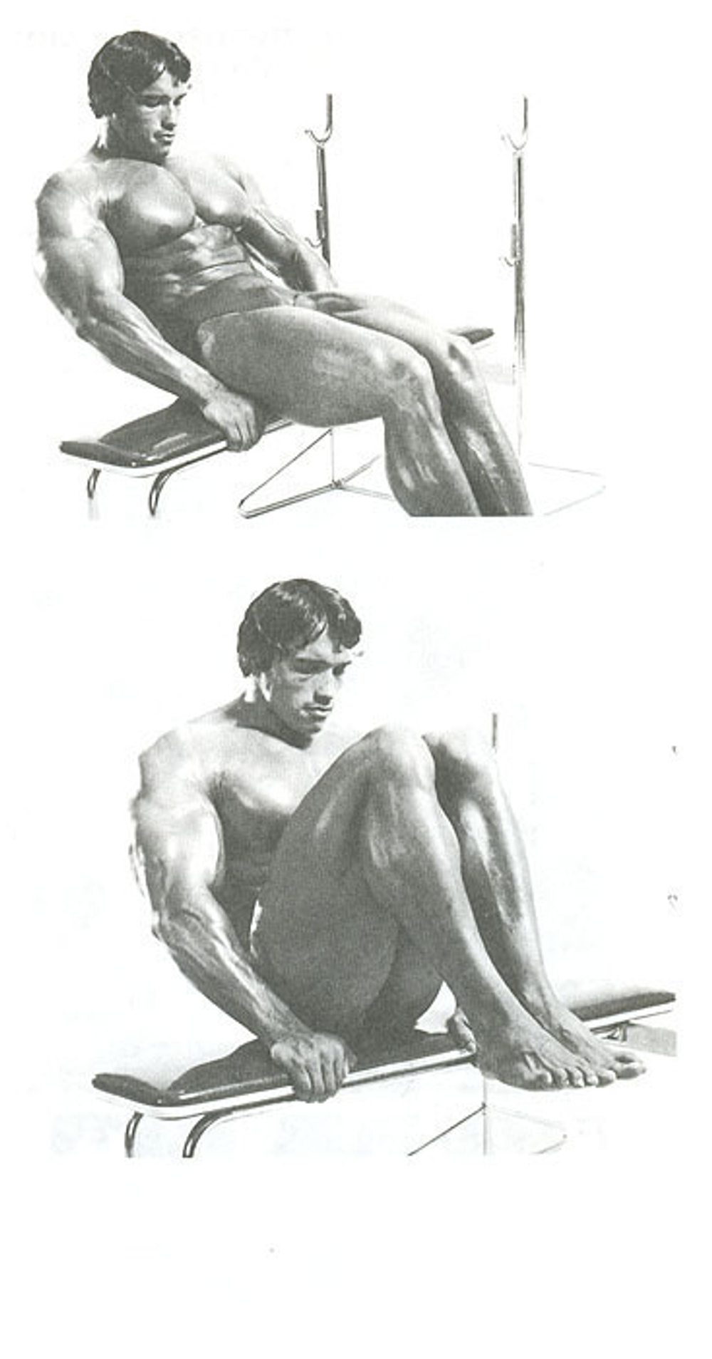 Новая энциклопедия бодибилдинга