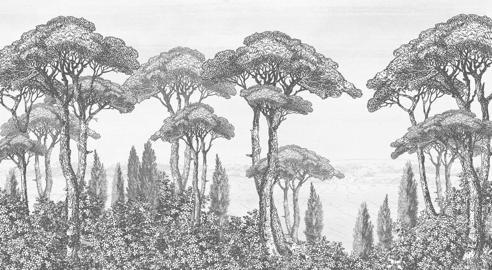 Дизайнерские обои Wall Street Estampe