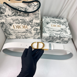 Christian Dior Reversible Belt