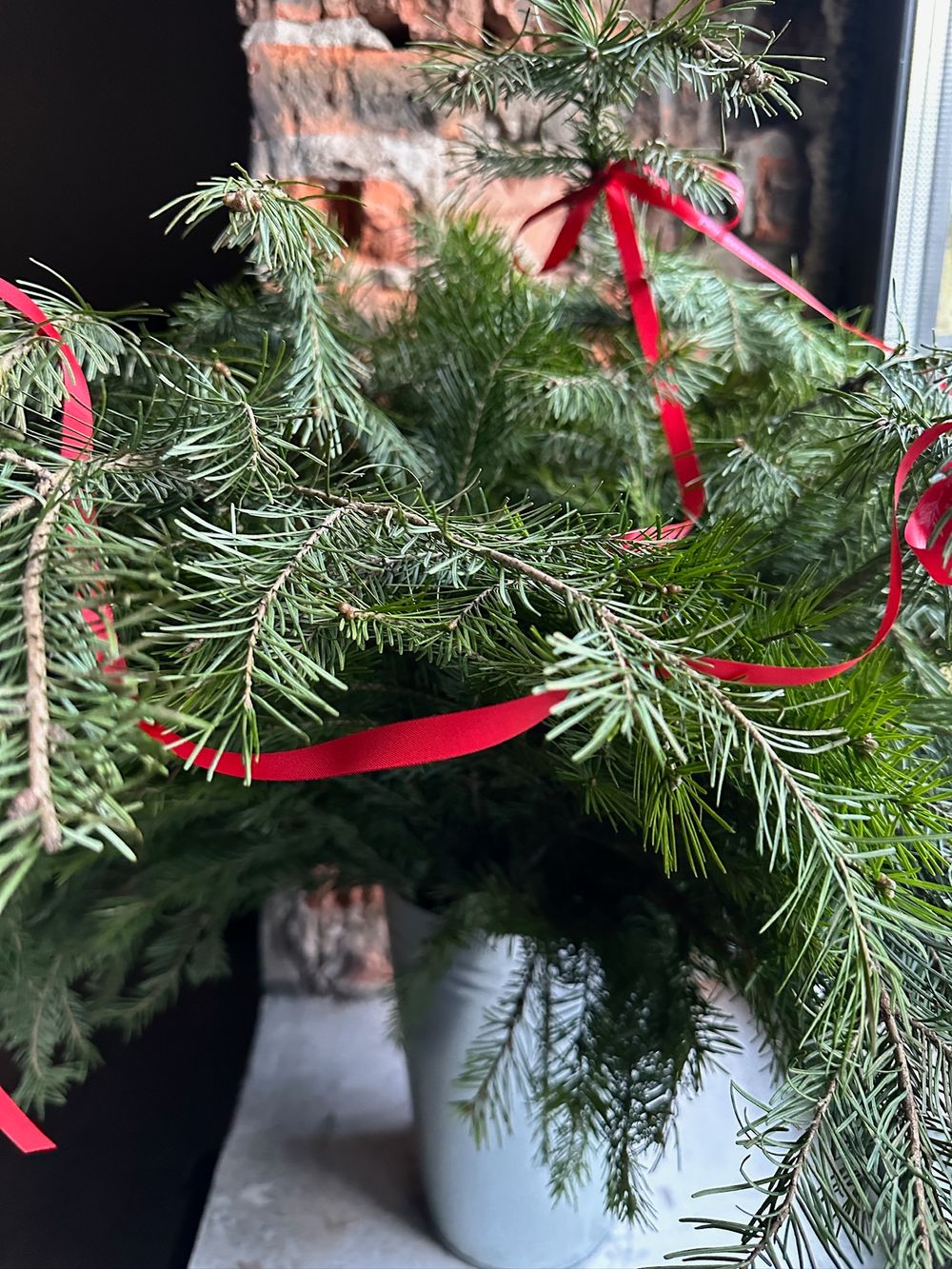 Ветка хвои - ПИХТА