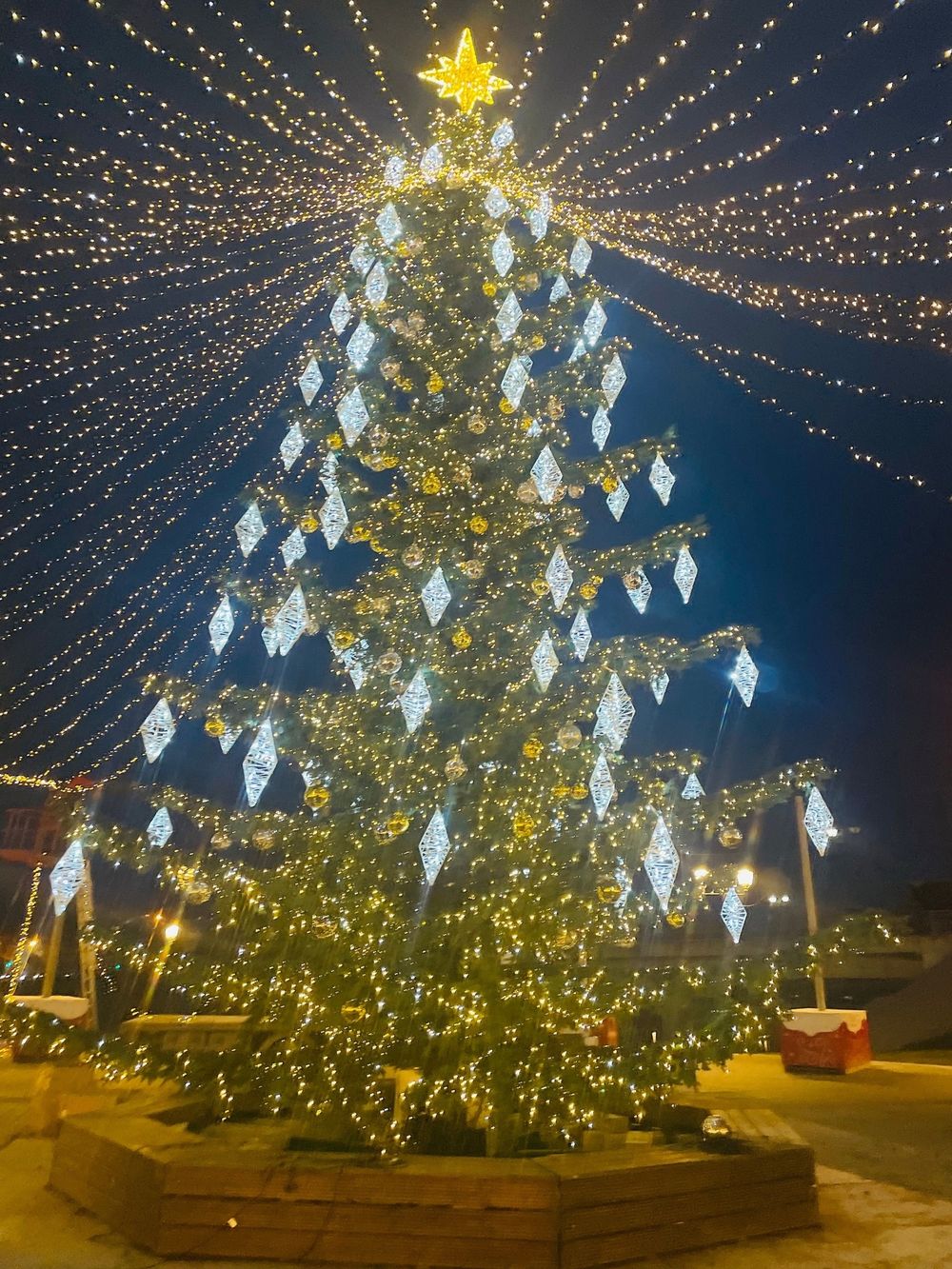 Светодинамическая елка ствольная со скамейкой, встроенная гирлянда: Холодный свет - "Лесная" Литая хвоя - от 6 до 18 м