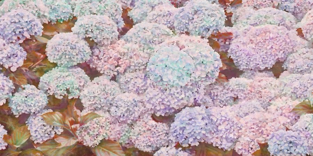 Фреска Applico, коллекция Flora