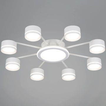 20590-0.3-8+1 White светильник потолочный