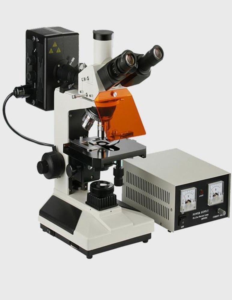 WMF-3201 Прозрачный флуоресцентный микроскоп