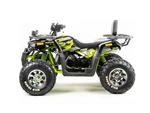 Квадроцикл MOTOLAND 200 Wild Track Pro