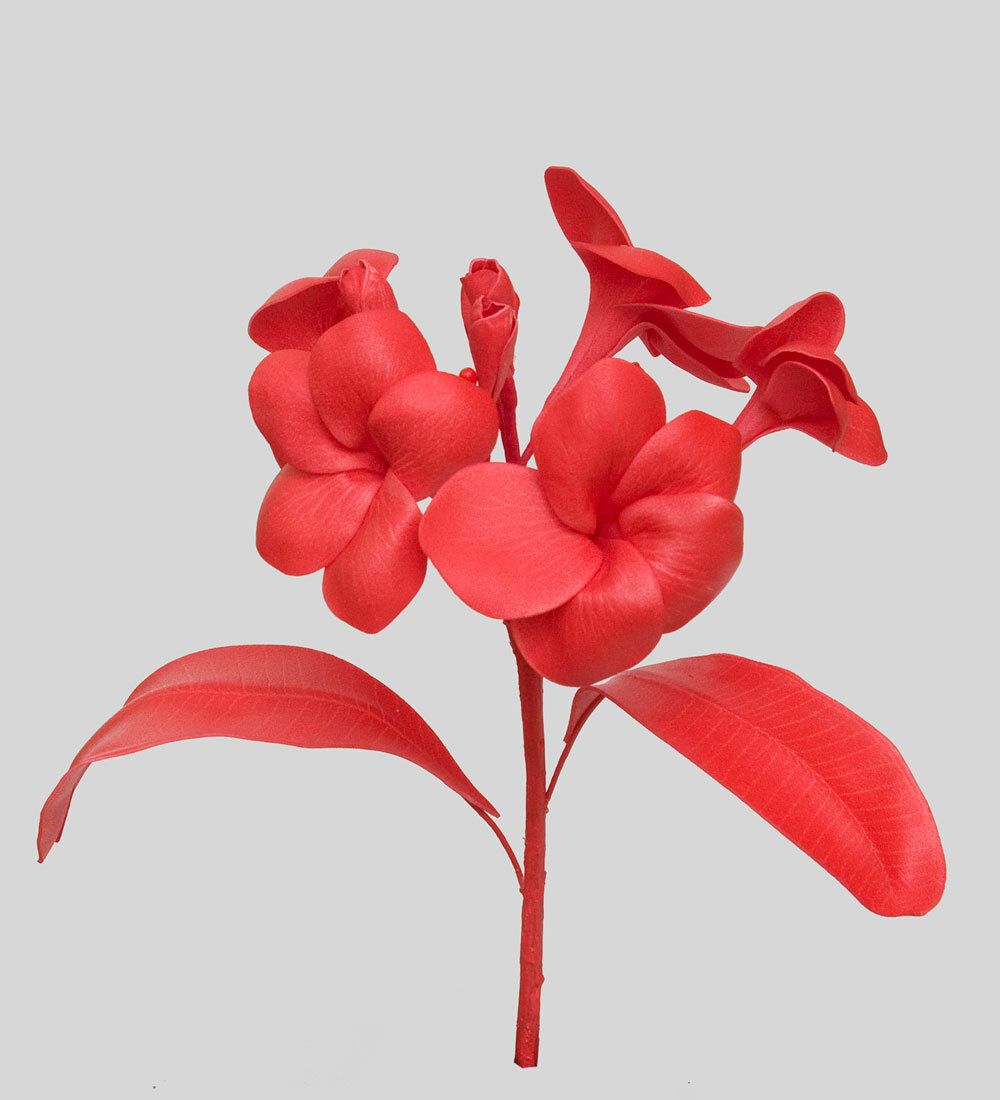 TR 614HM2 Плумерия 5 бутонов с листьями