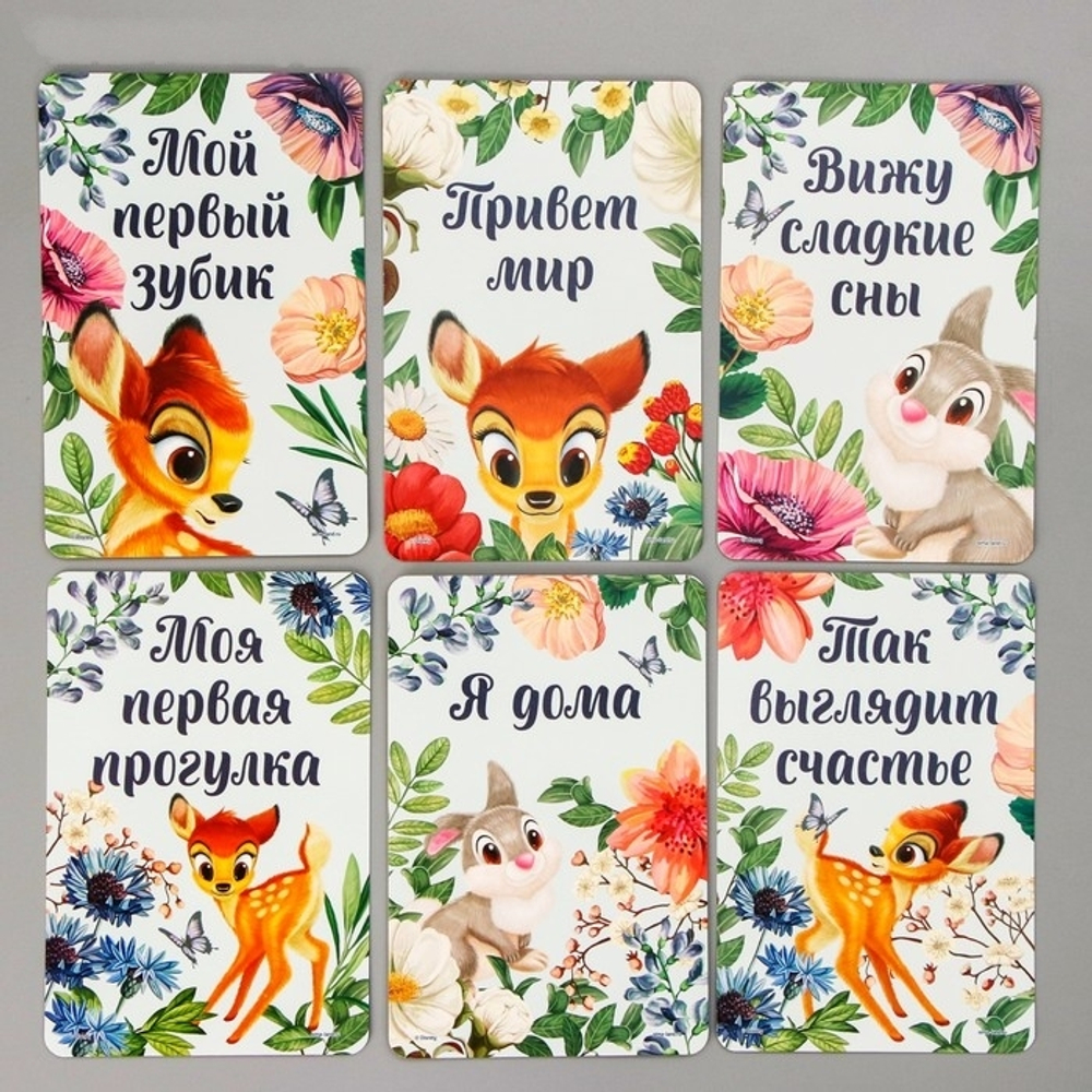4779923 Набор карточек для фотосессий, Дисней