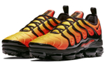 Кроссовки Nike Vapormax Plus