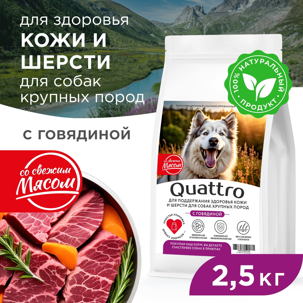 Корм сухой для взрослых собак крупных пород, премиум полнорационный комплекс, здоровье кожи и шерсти, с говядиной, 2,5 кг, QUATTRO