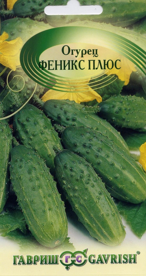 Огурец  Феникс плюс 10гр (250-280) семян