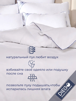 Одеяло зимнее Вега Евро Макси 220х240 Белое