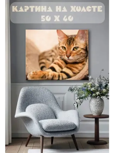Картина на стену 40 X 50 Кот